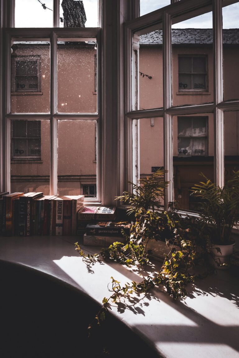 metin ozer Wus0vq5jxWI unsplash